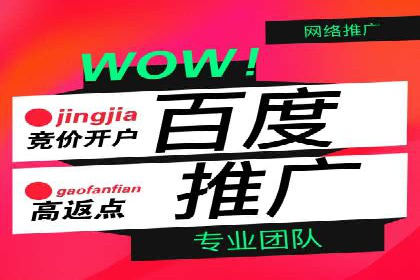 百度优化推广案例：打造行业领先品牌